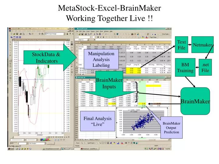 metastock excel brainmaker working together live