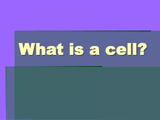 What is a cell?