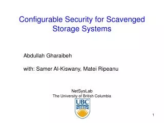 Configurable Security for Scavenged Storage Systems