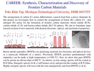 CAREER: Synthesis, Characterization and Discovery of Frontier Carbon Materials Yoke Khin Yap, Michigan Technological Uni