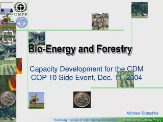 Bio-Energy and Forestry