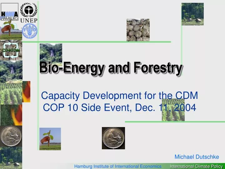 bio energy and forestry