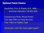 Optimal Patch Choice - slide 1