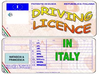 DRIVING LICENCE