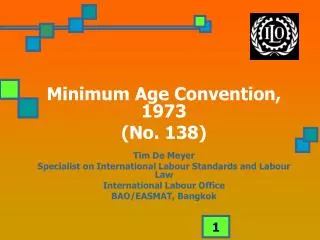 Minimum Age Convention, 1973 (No. 138) Tim De Meyer Specialist on International Labour Standards and Labour Law Internat