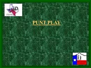 PUNT PLAY