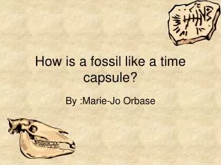How is a fossil like a time capsule?