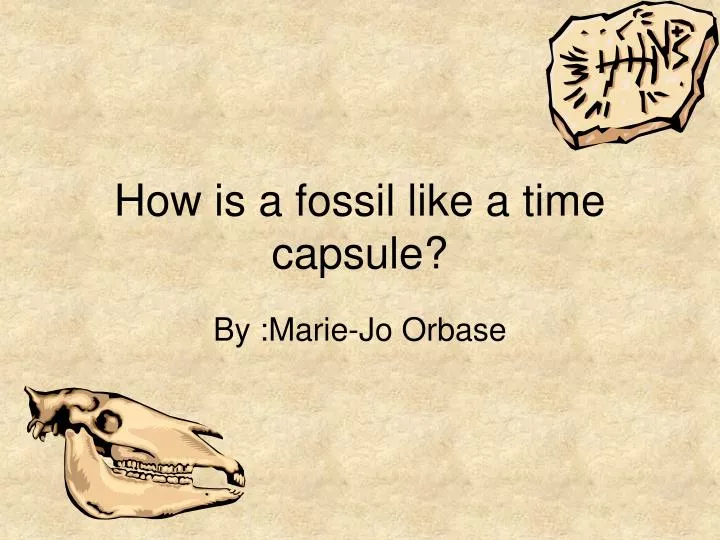 how is a fossil like a time capsule