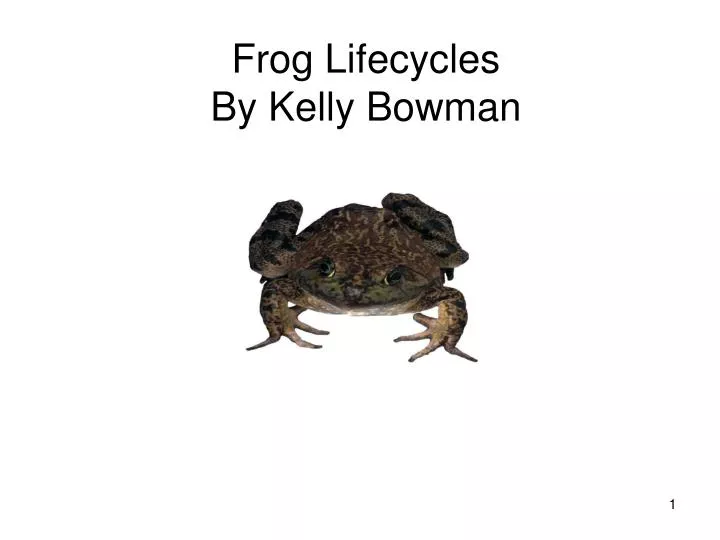 frog lifecycles by kelly bowman