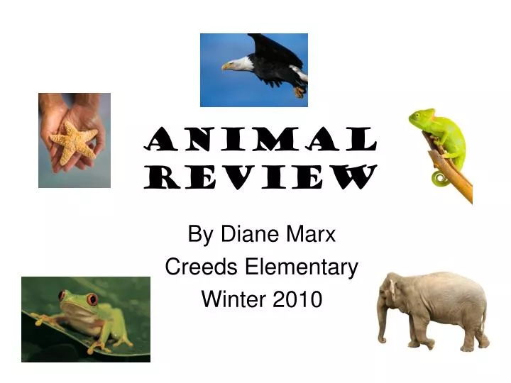 animal review