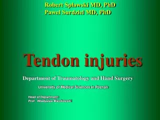 Tendon injuries