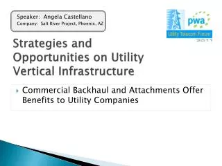 Strategies and Opportunities on Utility Vertical Infrastructure