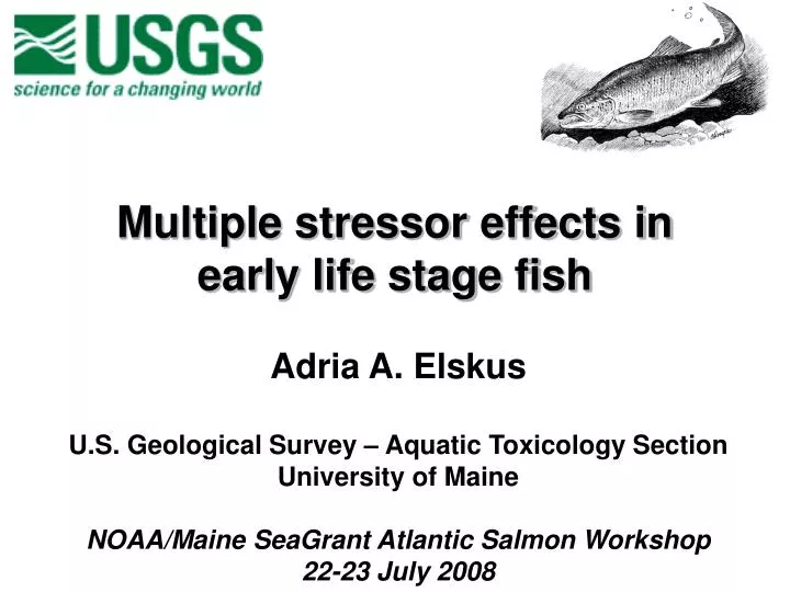 multiple stressor effects in early life stage fish