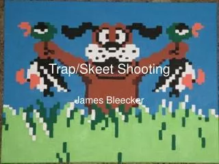 Trap/Skeet Shooting