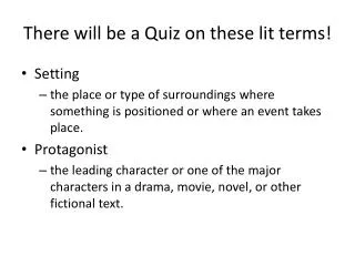 There will be a Quiz on these lit terms!