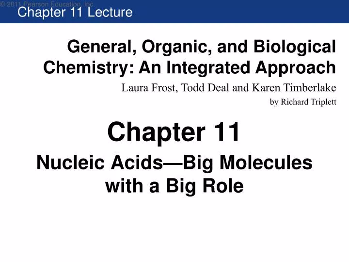 nucleic acids big molecules with a big role
