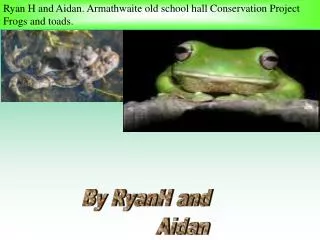 Ryan H and Aidan. Armathwaite old school hall Conservation Project Frogs and toads.
