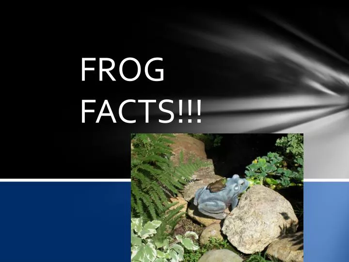 frogs facts