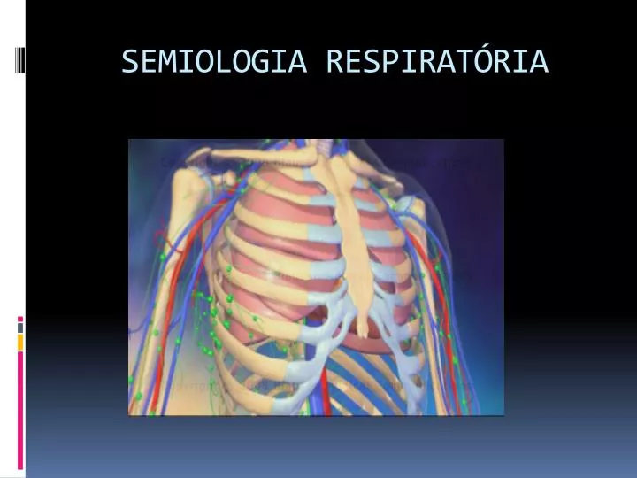 semiologia respirat ria
