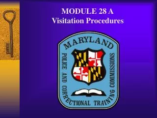 MODULE 28 A Visitation Procedures