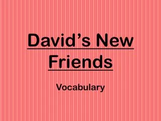 David’s New Friends