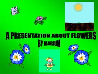 A PRESENTATION ABOUT FLOWERS