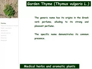 Medical herbs and aromatic plants