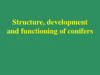 Structure, development and functioning of conifers