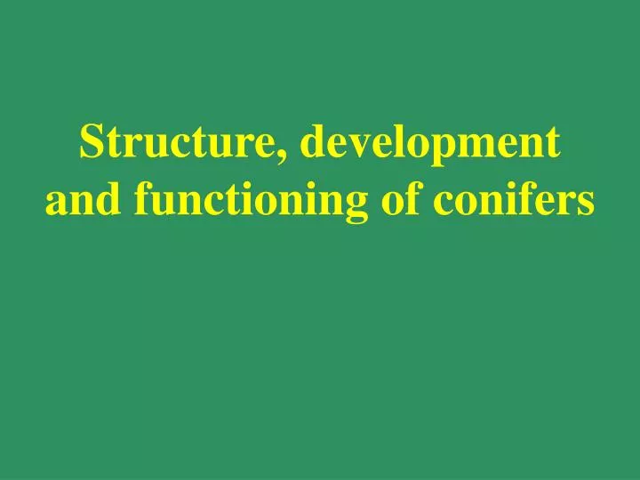 structure development and functioning of conifers