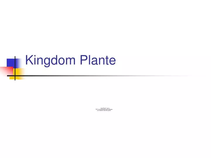 kingdom plante