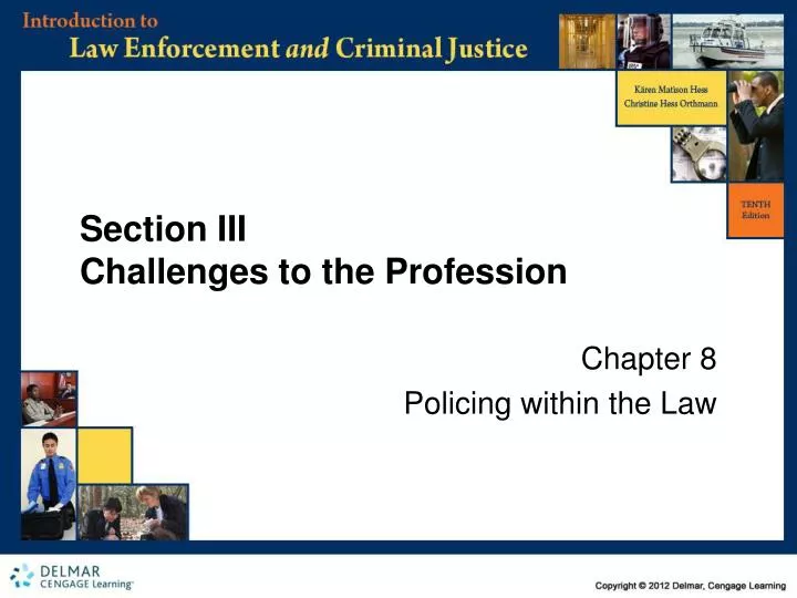 section iii challenges to the profession