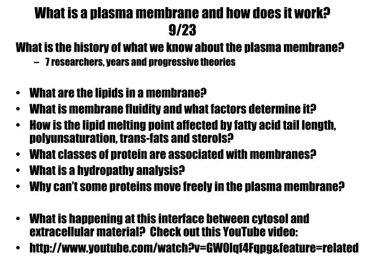 what is a plasma membrane and how does it work 9 23