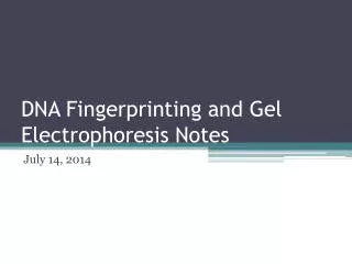 DNA Fingerprinting and Gel Electrophoresis Notes