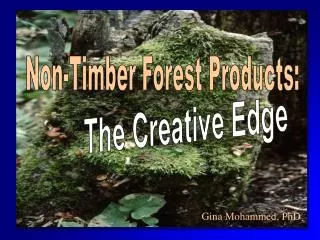 Non-Timber Forest Products: