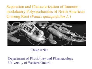 Separation and Characterization of Immuno-modulatory Polysaccharides of North American Ginseng Root ( Panax quinquefoliu