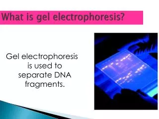 What is gel electrophoresis?