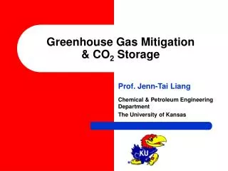 Greenhouse Gas Mitigation &amp; CO 2 Storage