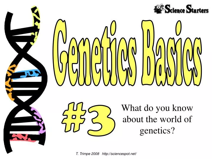 PPT - Genetics Basics PowerPoint Presentation, Free Download - ID:1759596