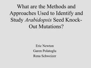 What are the Methods and Approaches Used to Identify and Study Arabidopsis Seed Knock-Out Mutations?