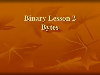 Binary Lesson 2 Bytes