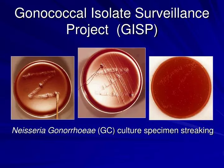 gonococcal isolate surveillance project gisp