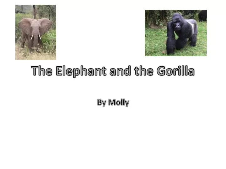 the elephant and the gorilla