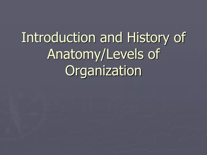 introduction and history of anatomy levels of organization