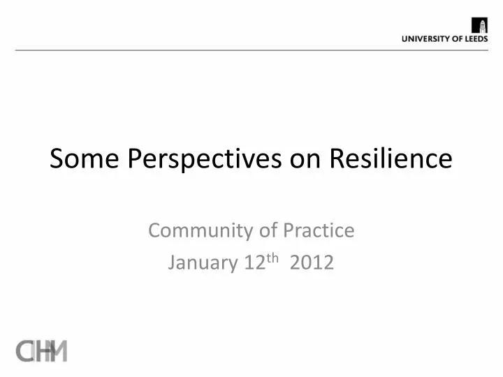 some perspectives on resilience