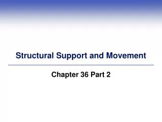 Structural Support and Movement