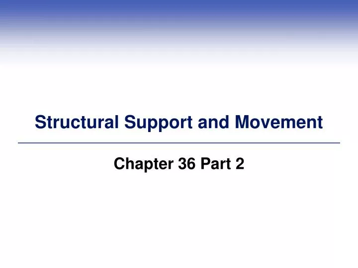 structural support and movement