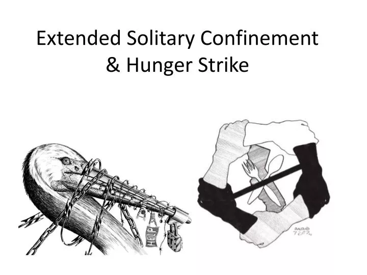 extended solitary confinement hunger strike