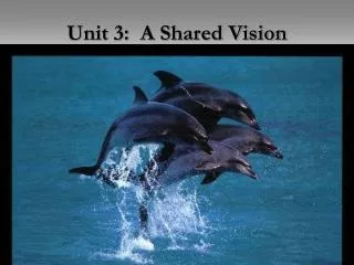 Unit 3: A Shared Vision