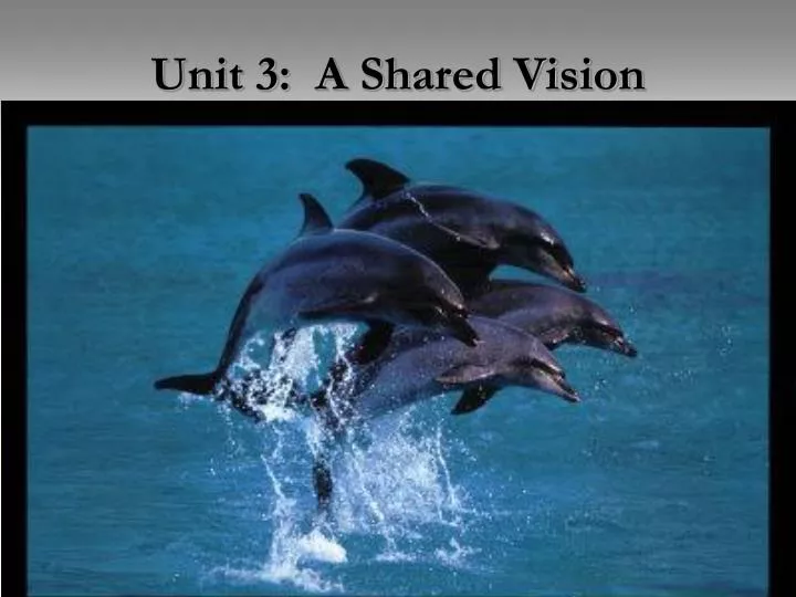 unit 3 a shared vision