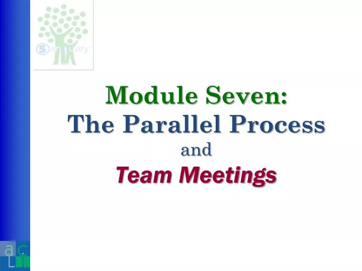 module seven the parallel process and team meetings